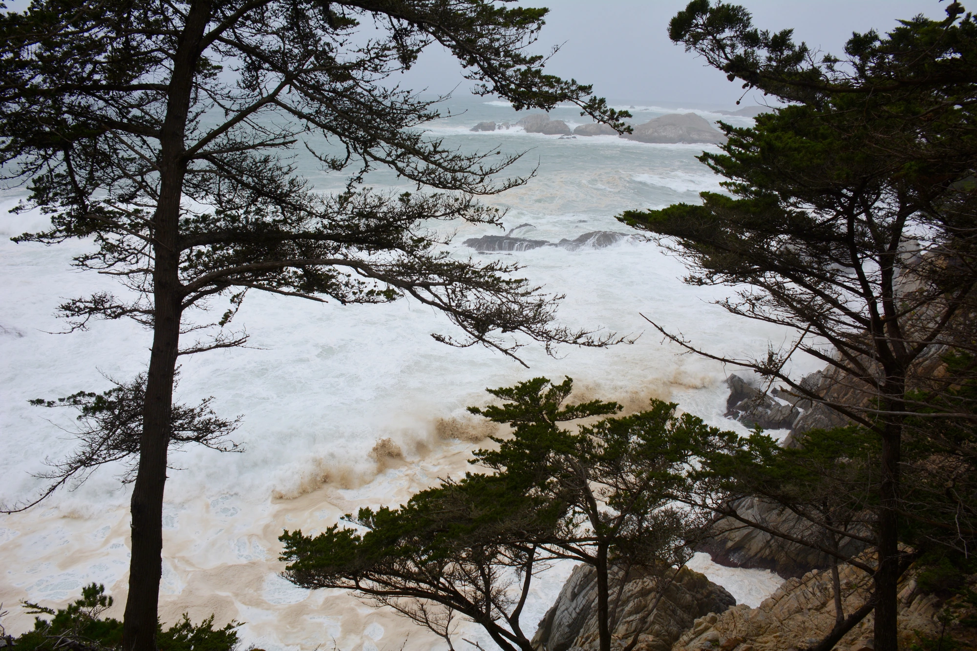 Carmel-by-the-Sea coastline