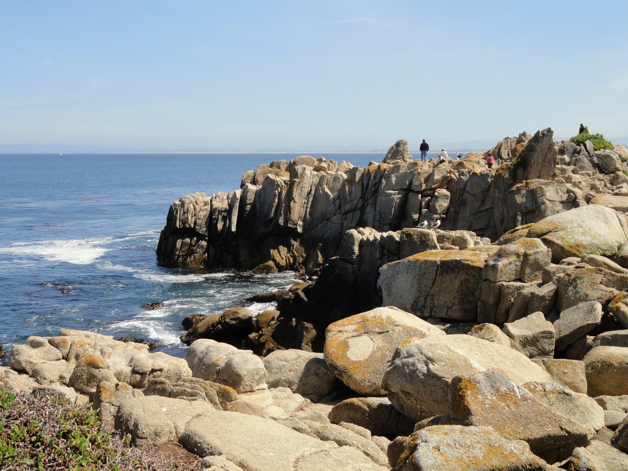 Pacific Grove California coastline