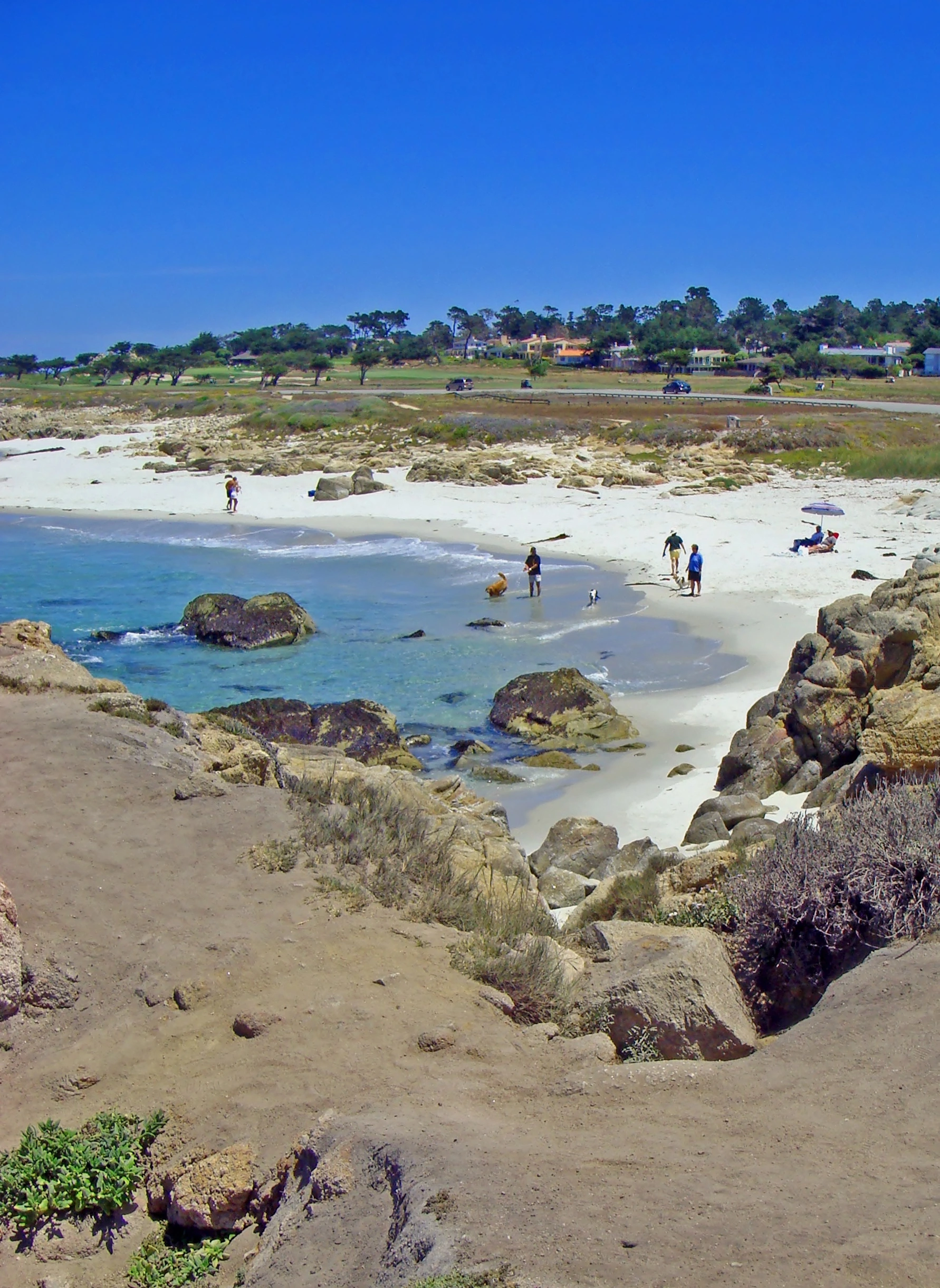 Pebble Beach California coast